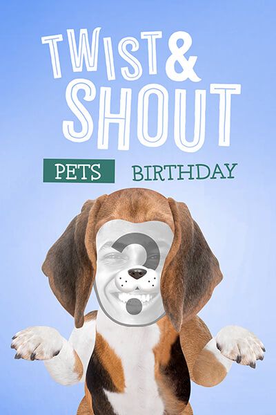 "Twist and Shout" by The Isley Brothers - Birthday - Pets