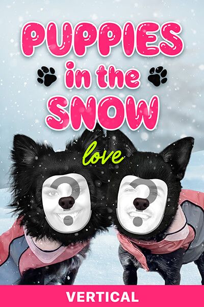Puppies in the Snow - Love