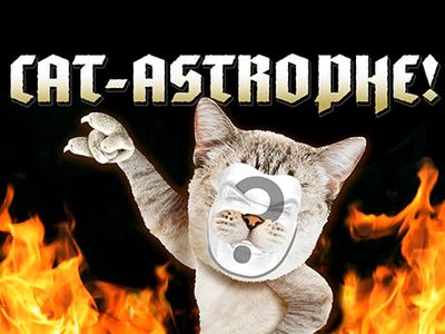 Cat-astrophe
