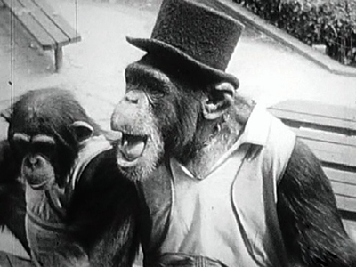 Quit Smoking, Monkey