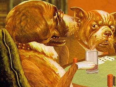 Dog Birthday Gifts