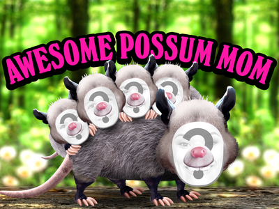 You're Awesome Possum, Mom