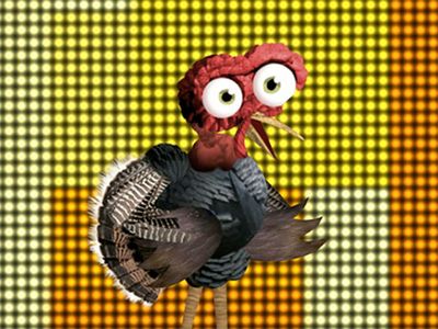 Jive Turkey
