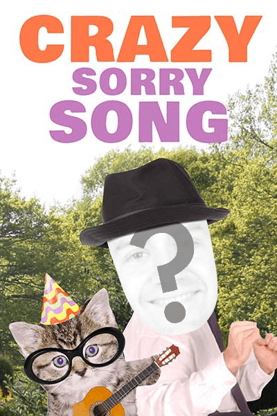 Crazy Sorry Song