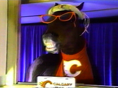 WTF Horse