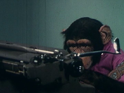 Happy Monday Monkey