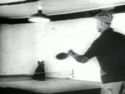 Ping Pong Kitty