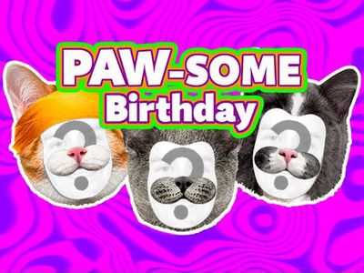 Paw-some Birthday