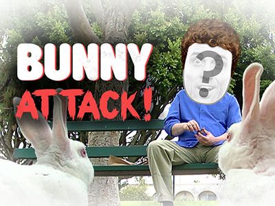 Bunny Attack!
