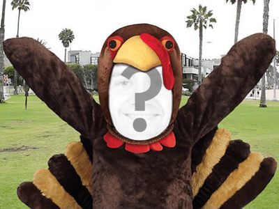 Bird's the Word - Shorty