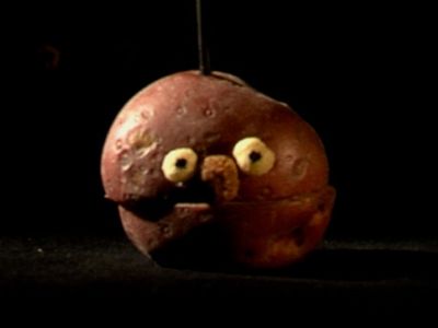 Potato Choir