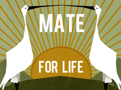 Mate for Life